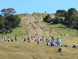 650.jpg