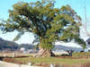 L3444520003943324.jpg