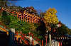 L3444520004122486.jpg