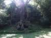 L3444520004473702.jpg
