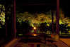 L3444520004547069.jpg
